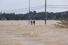 Organizaciones internacionales muestran solidaridad con los afectados por inundaciones en Vietnam