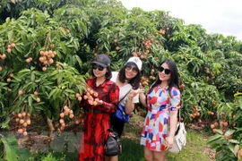 Provincia vietnamita Bac Giang por construir una administración moderna, profesional y en servicio al pueblo