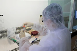 Empresa vietnamita alcanza éxitos iniciales en prueba de vacuna antiCovid-19 en ratones
