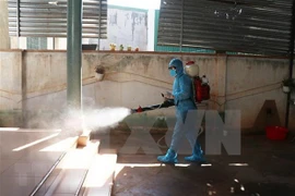 Cancillería vietnamita recomienda a ciudadanos no viajar al extranjero por brote de coronavirus