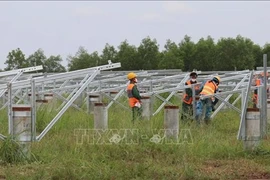 Provincia vietnamita de Binh Phuoc por mejorar economía local