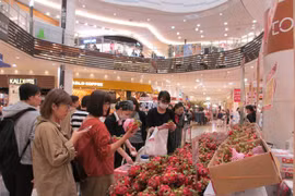 Compañías japonesas desarrollan promoción de artículos domésticos en Vietnam