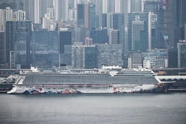 Clarifica Da Nang información sobre llegada de crucero con sospechoso caso de coronavirus 