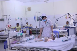 Hanoi impulsa medidas preventivas contra epidemia de dengue