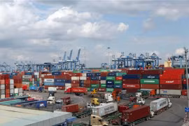 Aumenta volumen comercial de Vietnam por puertos marítimos
