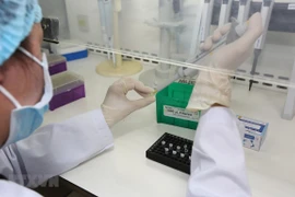 Recuperados el 81 por ciento de pacientes de COVID-19 en Vietnam 
