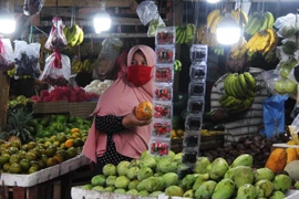 Indonesia registra su tasa de inflación más baja en las últimas dos décadas