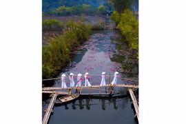 Gana fotógrafo vietnamita el concurso Agora Awards 2020