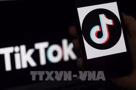 TikTok participa en digitalización de pequeñas y medianas empresas indonesias