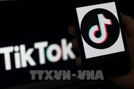 TikTok participa en digitalización de pequeñas y medianas empresas indonesias