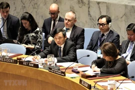 Reafirma Vietnam apoyo a lucha justa de Palestina por sus derechos inalienables 