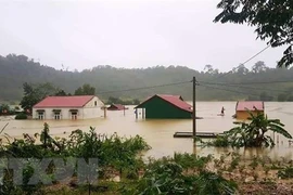 Al menos 84 muertos por inundaciones en el centro de Vietnam