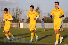 Vietnam mantiene posición líder en fútbol del Sudeste Asiático