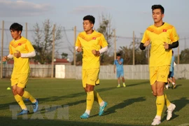 Vietnam mantiene posición líder en fútbol del Sudeste Asiático