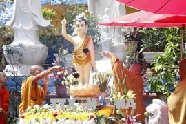 Celebran el Vesak 2564 en temporada pandémica en Laos