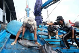 Califican de esencial en Vietnam labor de preservación para desarrollo sostenible de recursos marinos