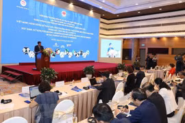 Sesiona III Foro anual de reforma y desarrollo de Vietnam