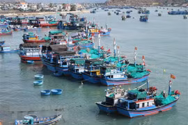 Mayoría de pesqueros vietnamitas equipados con dispositivos de monitoreo de viaje