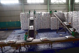 Premier vietnamita insta a aumentar el apoyo a las empresas en medio de pandemia