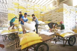 Cultivadores de arroz en Vietnam se benefician del programa de reducción de emisiones