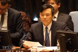Reitera Vietnam prioridad concedida a protección de civiles 