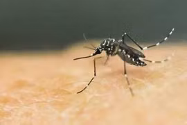 Detectan en Vietnam nuevo caso infectado del Zika