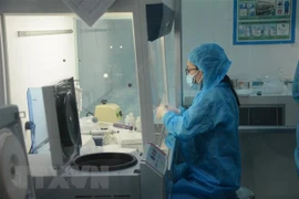 Ciudad vietnamita de Da Nang tomará 10 mil pruebas de COVID-19 en la comunidad