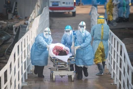 Evalúa Vietnam medidas para mitigar impacto de coronavirus en el turismo