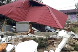 Se registra sismo de magnitud 5,9 en Indonesia