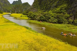 Impresionante inicio de la Semana del Turismo Ninh Binh 2020