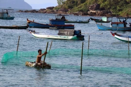 Vietnam promueve la cooperación internacional para el desarrollo de economía marítima