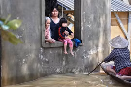 Vietnamitas en Ucrania apoyan a pobladores afectados por desastres naturales en región central