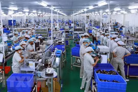 Crece Índice de Producción Industrial de Ciudad Ho Chi Minh