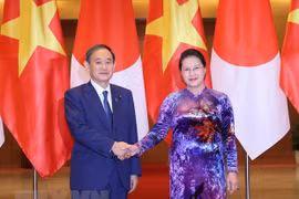 Vietnam y Japón fortalecen cooperación legislativa 