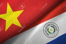 Felicita Vietnam al nuevo ministro de Relaciones Exteriores de Paraguay