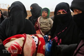 Vietnam pide mayor asistencia humanitaria a Siria