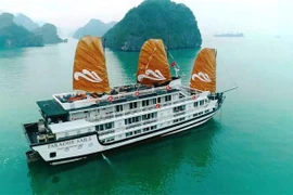 Lanzan crucero Paradise Sails en Bahía de Ha Long