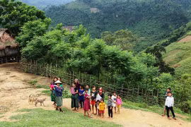 Vietnam apunta a reducir la desnutrición entre niños de minorías étnicas