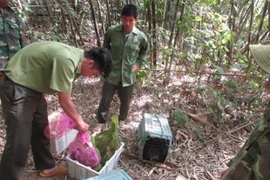Liberan en Vietnam animales salvajes al Parque Nacional Bu Gia Map
