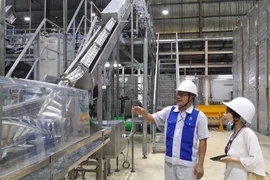 Aumenta inversión vietnamita en el extranjero