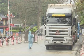 Refuerza Vietnam control de trasporte de mercancías por puertas fronterizas
