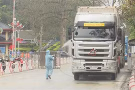 Refuerza Vietnam control de trasporte de mercancías por puertas fronterizas