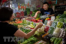 Exportadores vietnamitas de verduras y frutas por ampliar cuota en Tailandia