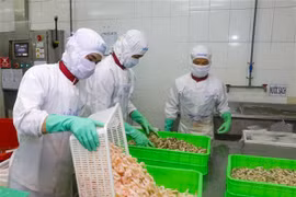 Estado alemán de Baviera busca expandir vínculos comerciales con Vietnam
