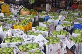 Camboya exporta primer lote de mango fresco a China