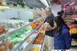 Crecen ingresos por ventas minoristas y servicios de Vietnam
