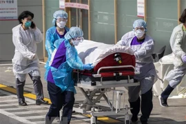 Embajada en Suiza recomienda a vietnamitas evitar viajes a zonas de coronavirus
