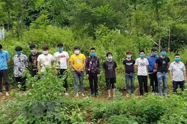 Vietnam arresta a 15 ciudadanos extranjeros por entrada ilegal