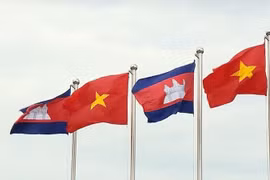 Promueven divulgación de informaciones para el exterior entre Vietnam y Camboya 