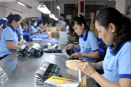 Provincia vietnamita de An Giang promueve medidas para crear empleos